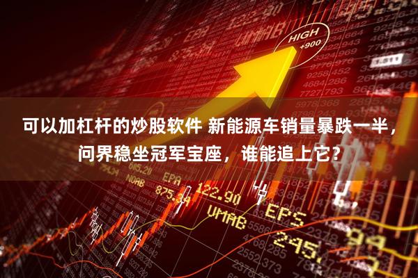 可以加杠杆的炒股软件 新能源车销量暴跌一半，问界稳坐冠军宝座，谁能追上它？